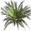 Silk Honey Grass icon