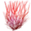 Agar icon