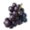 Grape icon