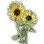 Special Sunflower icon