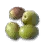 High-quality Olive icon