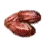 Dried Date Palm icon