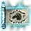 Courser's Aura icon