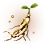 [Event] 7-year Wild Ginseng icon