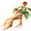High-quality Ginseng icon