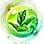 Blessing of Fragrant Wind icon