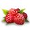 Wild Berry icon