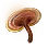 Youngji Mushroom icon