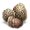 White Truffle Mushroom icon