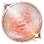 Dragon's Blessing icon