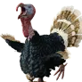 [Event] Stuffed Cunning Turkey icon