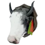 Artisan's Special Stuffed Black Snowfield Yak Head icon