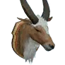 Master's Stuffed Valencia Mountain Sheep Head icon