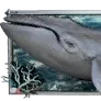 Blue Whale Wall Decoration icon